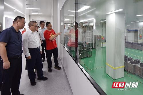 湖南省食品專家團隊技術服務進產區活動在平江啟動