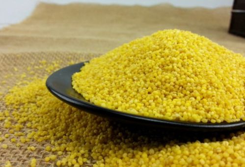 有包裝的小米過了保質期，還能吃嗎？雜糧儲存與安全食用指南
